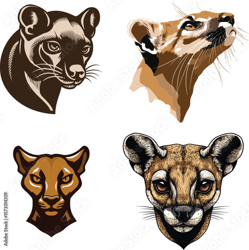 Cougar puma animal head illustration vector artwork eps