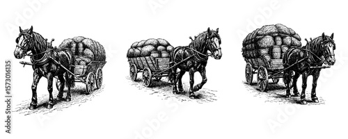 Vintage Workhorse with Loaded Cart - Historical Engraving Set