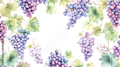 vector seamless pattern with branches of black currants drawing by watercolor, hand drawn ornament
