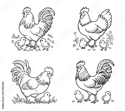 Motherhood in Nature, Hen and Chicks Vector Art On White Background