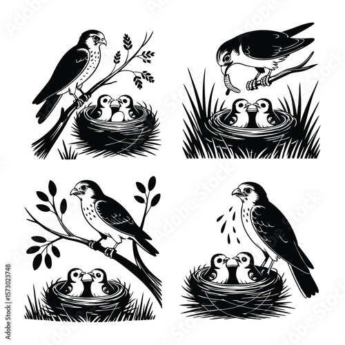 Vintage Mother Bird and Chicks, Classic Black and White Nature Illustration