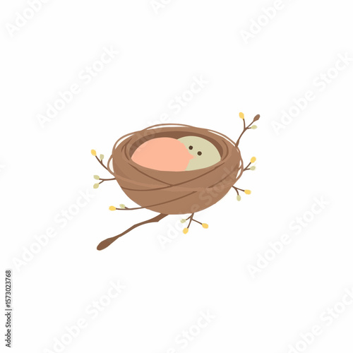 A bird's nest. 