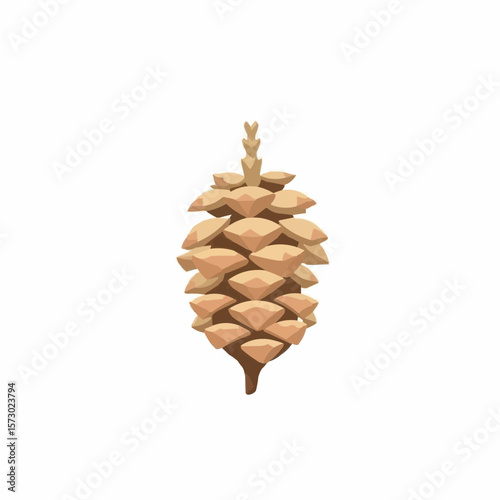 A pine cone.   
