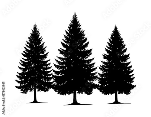 Three black silhouette evergreen trees stand against a white background. Suitable for naturethemed designs, holiday cards, and seasonal graphics.