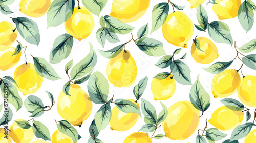 Hand drawn watercolor lemon Sicilian painting on white background. Fruit vector illustration. Pattern watercolor fruit.