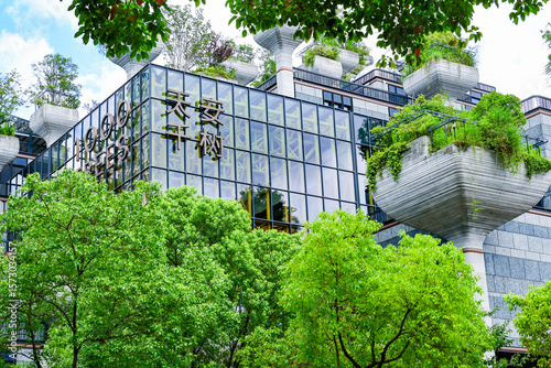 Photography 上海・天安千樹（1000trees）