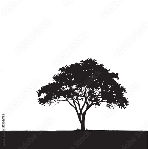 The Serene Beauty of Trees: Nature's Timeless Guardians