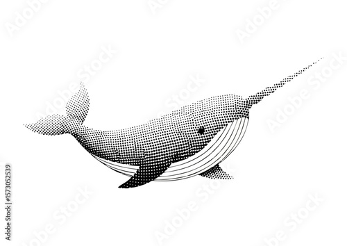 Stylized black and white narwhal illustration with dotted texture