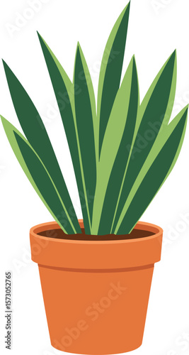 Snake plant in terracotta pot vector illustration with green leaves and minimalist design for home decor and indoor gardening