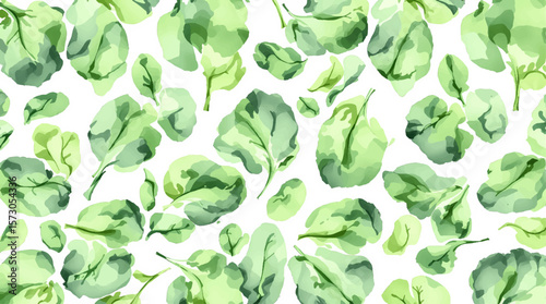 Watercolor pattern mint on white background vector