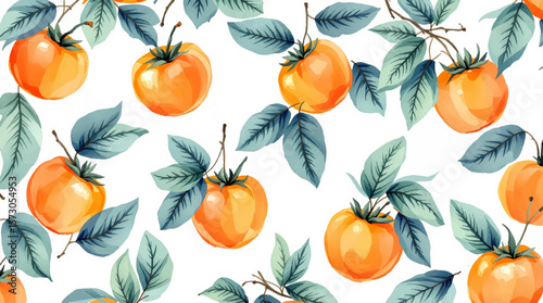 Persimmon, Watercolor background pattern persimmon on white background