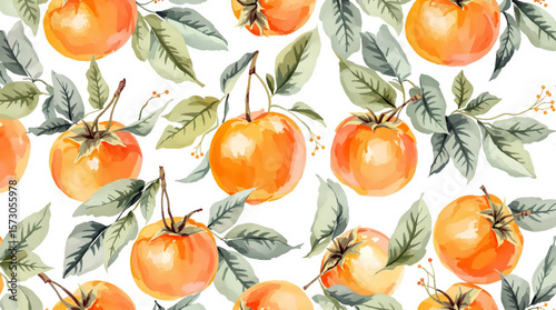 Persimmon, Watercolor background pattern persimmon on white background