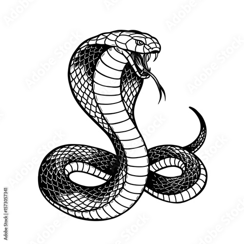 Black and white illustration of a cobra snake with tongue out  in Asian style suitable for tattoos, branding in the field of martial arts, spiritual schools, oriental style decor