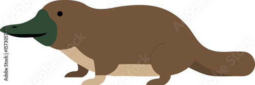 Platypus animal wildlife vector design with brown and green colors natural Australian unique mammal illustration