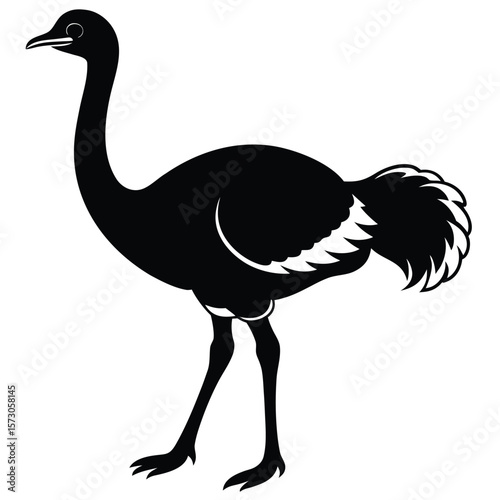 Ostrich silhouette showcases a long neck and plump body against a transparent backdrop