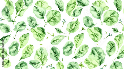 Watercolor pattern sorrel on white background vector	