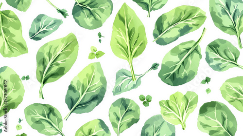 Watercolor pattern mint on white background vector	
