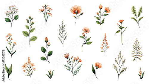 Collection of Peach and Green Botanical Illustrations Isolated on White Background Twenty
