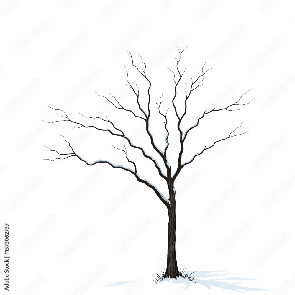 Obraz premium Tree with bare branches covered in snow on white background 