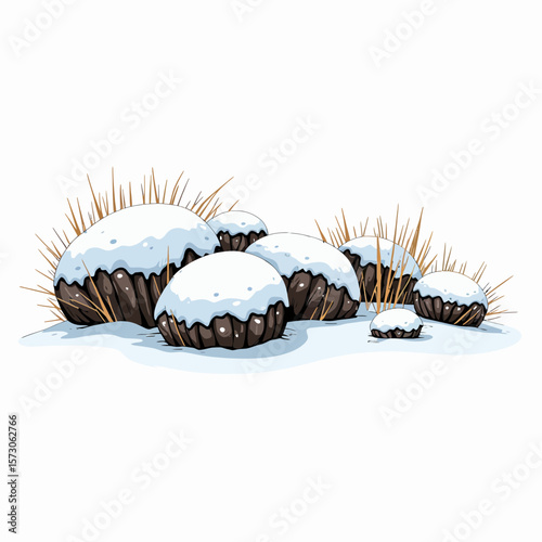 Snow-covered rocks and grass in winter landscape  