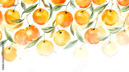 Watercolor pattern mango on white background