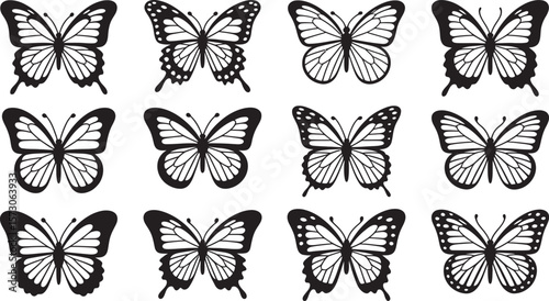collection of butterflies