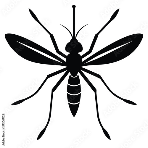 shows a black mosquito with transparent wings against a white backdrop