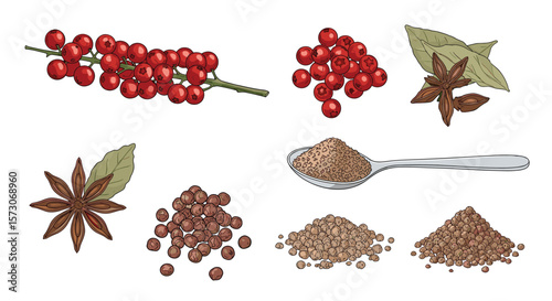 A collection of spices and berries for culinary use and flavor enhancements