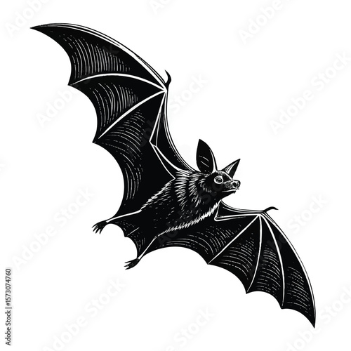 Black silhouette flying bat Halloween vector image