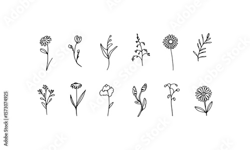 Tiny Bloom Flowers. Small flower heads with light petals on straight stems in a clear and minimal floral outline.