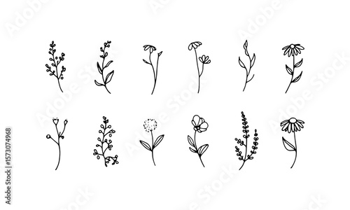 Simplified Botanical Sprigs. Simplified floral sprigs with oval petals and minimal hand-drawn elegance in black and white.