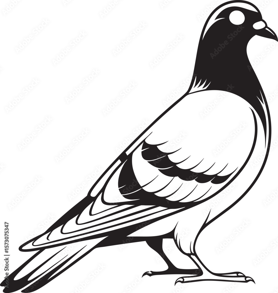 Fototapeta premium vector illustration of a dove