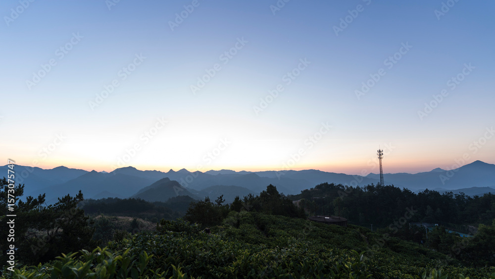 The Scenery of Early Dawn and Sunrise in Wuyunshan Tea Garden, Hubei, China The Scenery of Early Dawn and Sunrise in Wuyunshan Tea Garden, Hubei, China