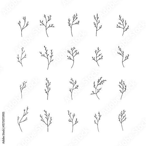 Simple Botanical Twigs. A minimalist arrangement of hand-drawn botanical twigs with clean, natural lines and delicate leaves, perfect for subtle nature-themed compositions.