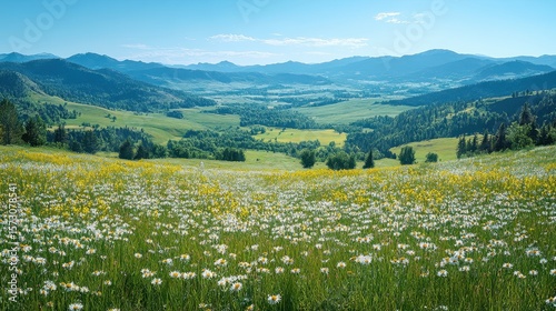 Wallpaper Mural Mountain valley daisy field summer landscape, scenic view, travel poster Torontodigital.ca