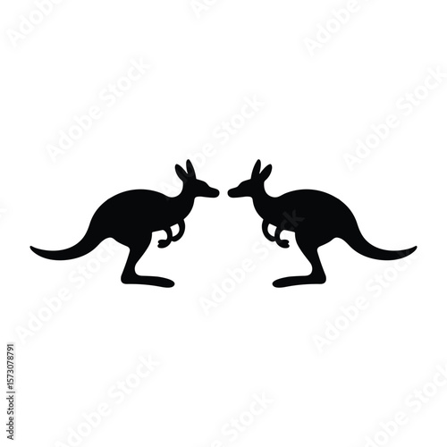 kangaroo vector illustration isolated