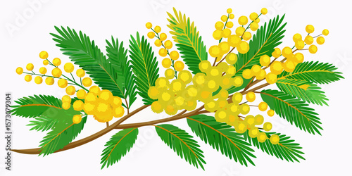Vibrant Mimosa Branch with Lush Green Leaves and Yellow Flowers