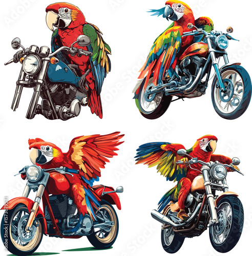Parrot bird with motorcycle vector style on white background