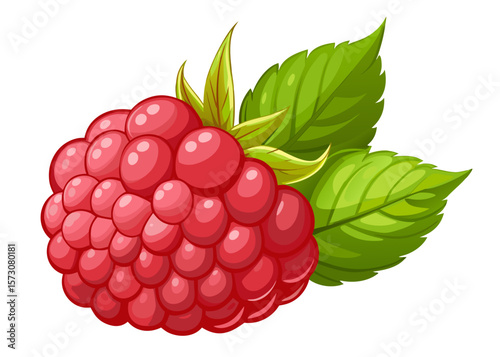 Single Red Raspberry with Green Leaves Illustration