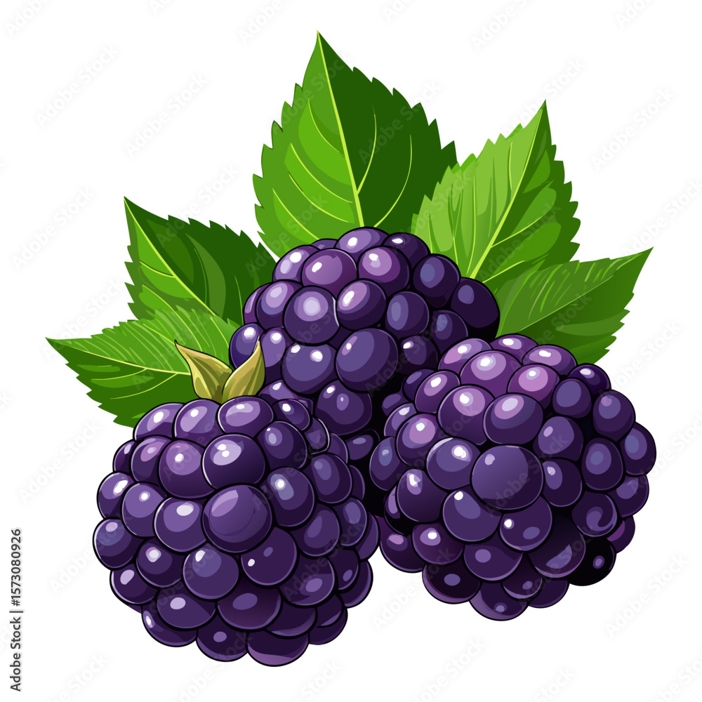 Fototapeta premium Three Juicy Blackberries with Fresh Green Leaves