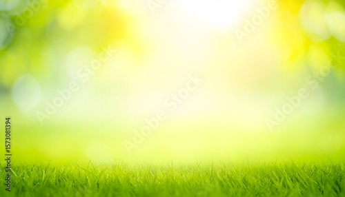 Lush green grass with a soft, sunlit bokeh background creating a serene atmosphere