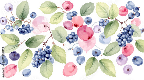 Seamless pattern of red, blue and purple berries on white background	