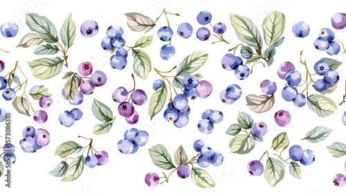 Watercolor background pattern berries on white background
