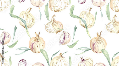 Watercolor background pattern garlic on white background
