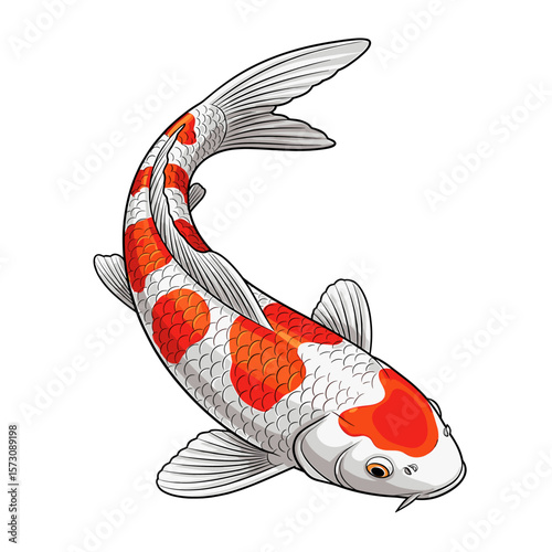 A vibrant illustration of a koi fish with orange and white markings, swimming.