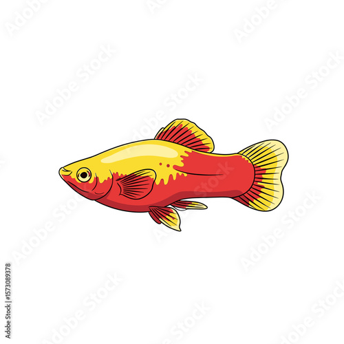 A vibrant illustration of a red and yellow platyfish, showcasing its detailed fins and scales.