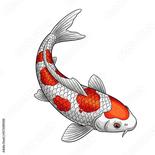 Illustration of a koi fish with white scales and orange markings, swimming upwards.