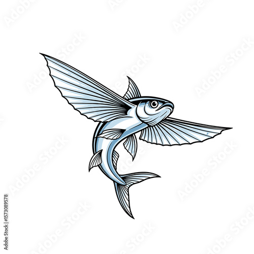 A stylized illustration of a flying fish with outstretched wings, isolated.