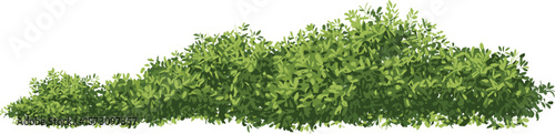 Realistic green bush hedge, dense garden shrub border, nature foliage element, isolated plant illustration for landscaping design, perfect for outdoor greenery decoration