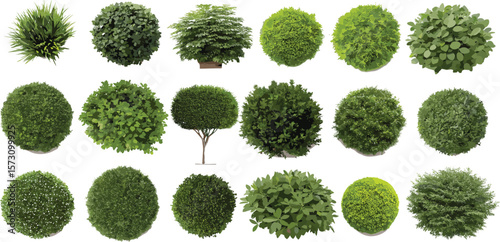 Collection of realistic green bushes and shrubs, garden foliage top view set, isolated plant illustrations for landscaping, nature clipart bundle